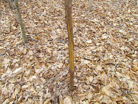 55 Ac Fox Chase Dr, Elberon, VA 23839 photo 38