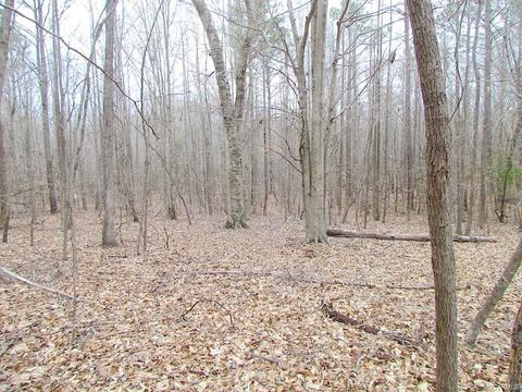 55 Ac Fox Chase Dr, Elberon, VA 23839 photo 27