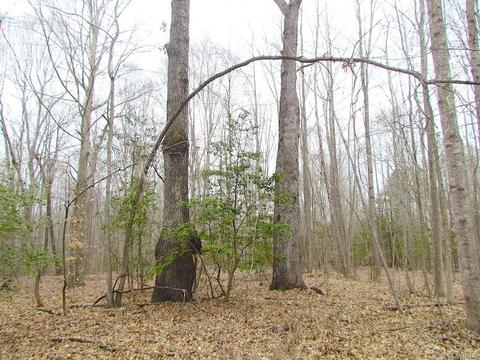 55 Ac Fox Chase Dr, Elberon, VA 23839 photo 26