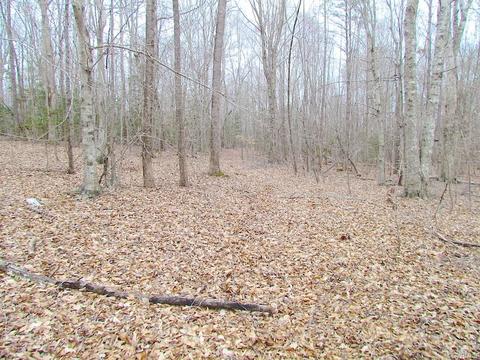 55 Ac Fox Chase Dr, Elberon, VA 23839 photo 28