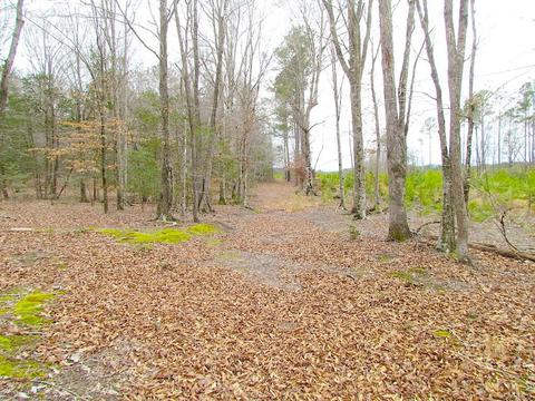 55 Ac Fox Chase Dr, Elberon, VA 23839 photo 42