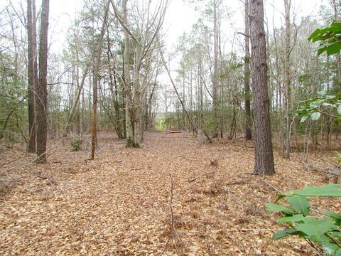 55 Ac Fox Chase Dr, Elberon, VA 23839 photo 45