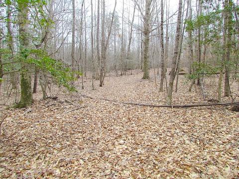 55 Ac Fox Chase Dr, Elberon, VA 23839 photo 30