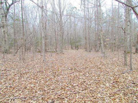 55 Ac Fox Chase Dr, Elberon, VA 23839 photo 36
