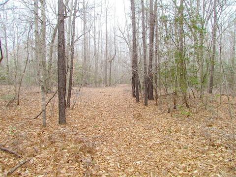 55 Ac Fox Chase Dr, Elberon, VA 23839 photo 24
