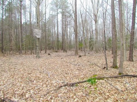 55 Ac Fox Chase Dr, Elberon, VA 23839 photo 34