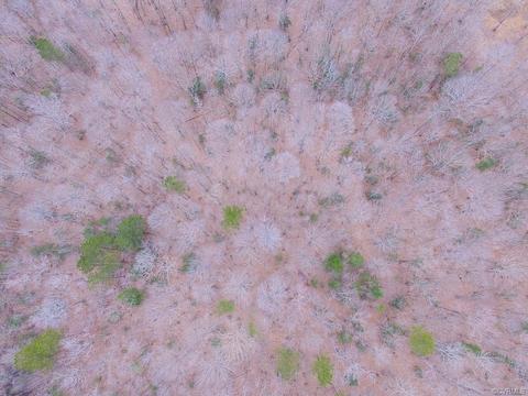 55 Ac Fox Chase Dr, Elberon, VA 23839 photo 7