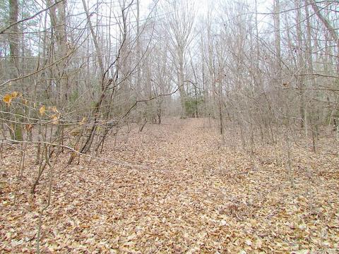 55 Ac Fox Chase Dr, Elberon, VA 23839 photo 33