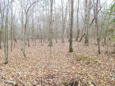 55 Ac Fox Chase Dr, Elberon, VA 23839 photo 29