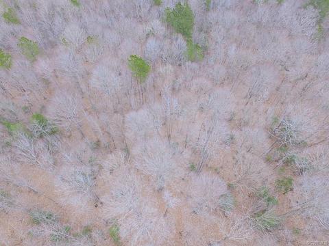 55 Ac Fox Chase Dr, Elberon, VA 23839 photo 10