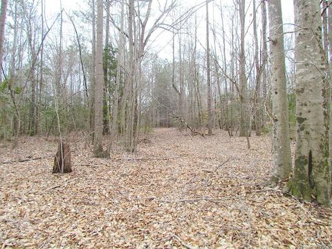 55 Ac Fox Chase Dr, Elberon, VA 23839 photo 25