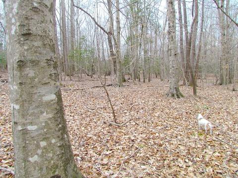 55 Ac Fox Chase Dr, Elberon, VA 23839 photo 31