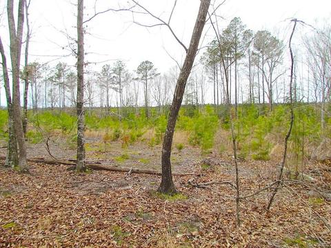 55 Ac Fox Chase Dr, Elberon, VA 23839 photo 43