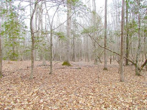 55 Ac Fox Chase Dr, Elberon, VA 23839 photo 35