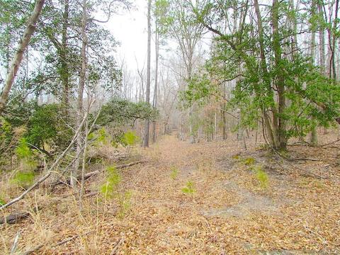 55 Ac Fox Chase Dr, Elberon, VA 23839 photo 41