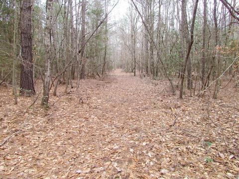 55 Ac Fox Chase Dr, Elberon, VA 23839 photo 44