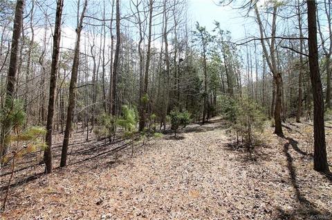 431 Three Flags Dr, Kenbridge, VA 23944 photo 19