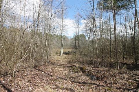 431 Three Flags Dr, Kenbridge, VA 23944 photo 16