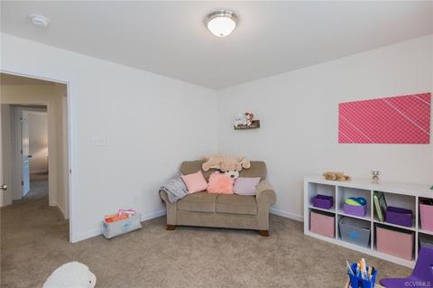 830 Agee Ter, Midlothian, VA 23114 photo 34