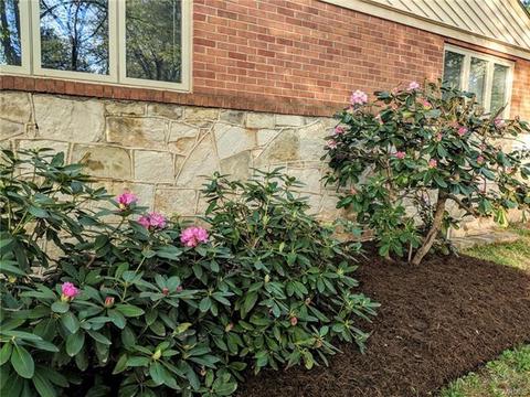 2425 Pineway Dr, Richmond, VA 23225 photo 24