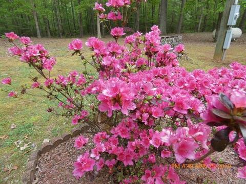 16210 Glebe Rd, Dewitt, VA 23840 photo 6