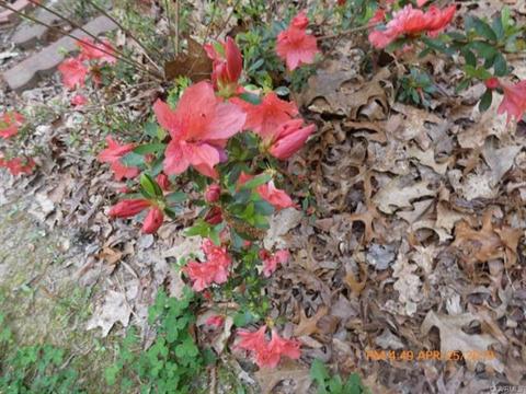 16210 Glebe Rd, Dewitt, VA 23840 photo 5