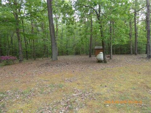 16210 Glebe Rd, Dewitt, VA 23840 photo 8