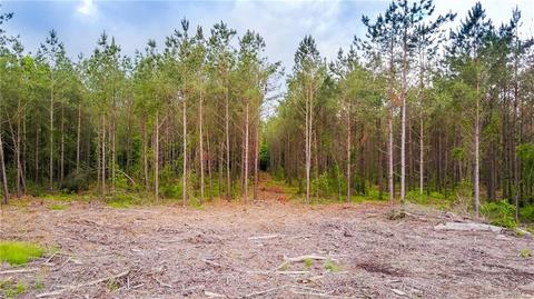 1915 1917 Carter Rd, Lanexa, VA 23089 photo 43