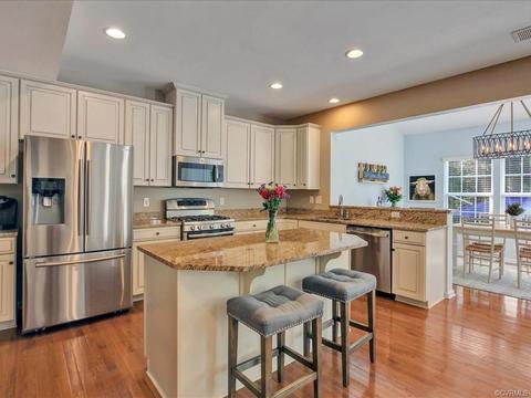 16867 White Daisy Loop, Moseley, VA 23120 photo 3