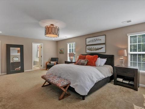 16867 White Daisy Loop, Moseley, VA 23120 photo 29