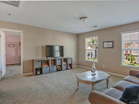 16867 White Daisy Loop, Moseley, VA 23120 photo 26