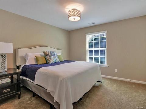 16867 White Daisy Loop, Moseley, VA 23120 photo 23