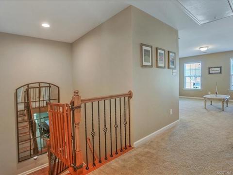 16867 White Daisy Loop, Moseley, VA 23120 photo 24