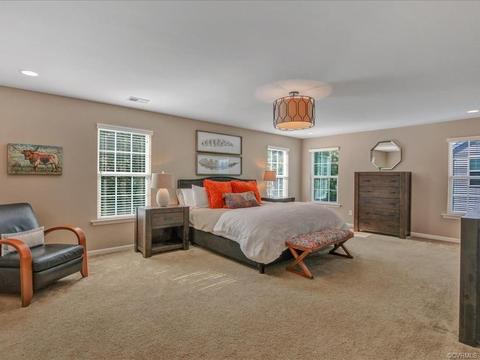 16867 White Daisy Loop, Moseley, VA 23120 photo 4