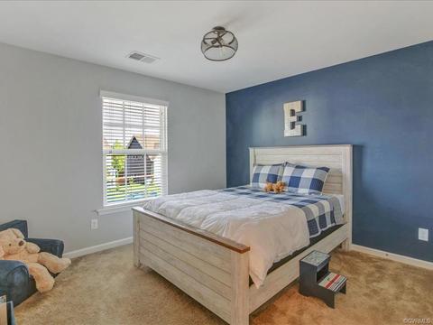 16867 White Daisy Loop, Moseley, VA 23120 photo 27