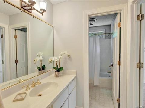 11241 Buckhead Ter, Midlothian, VA 23113 photo 24