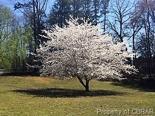 8372 Roaring Springs Rd, Gloucester, VA 23061 photo 11