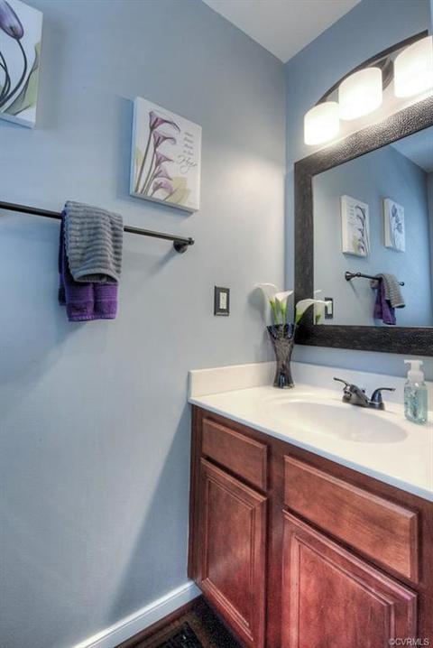 6054 Walking Path Ln, Midlothian, VA 23112 photo 11
