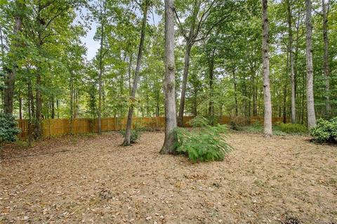 2201 Turtle Hill Cir, Midlothian, VA 23112 photo 23