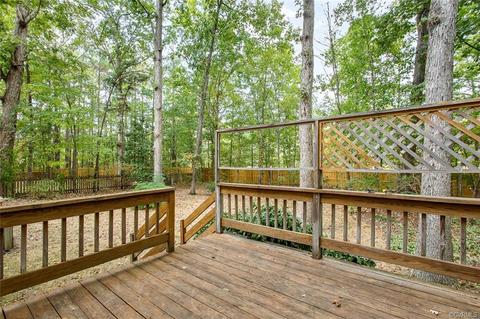 2201 Turtle Hill Cir, Midlothian, VA 23112 photo 22