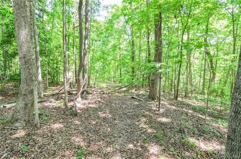 10037 Deer Trace Ln, Gloucester, VA 23061 photo 32