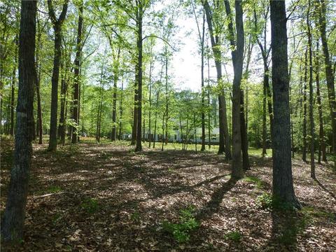 9331 Old Forge Rd, Providence Forge, VA 23140 photo 35