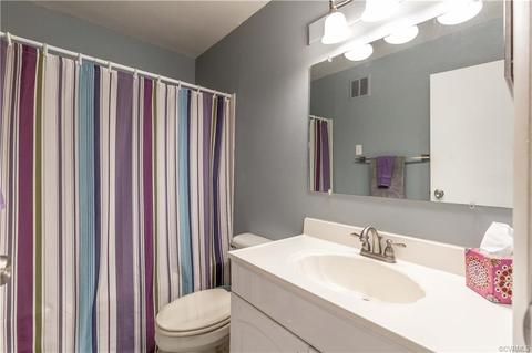 11769 N Briar Patch Dr, Midlothian, VA 23113 photo 22