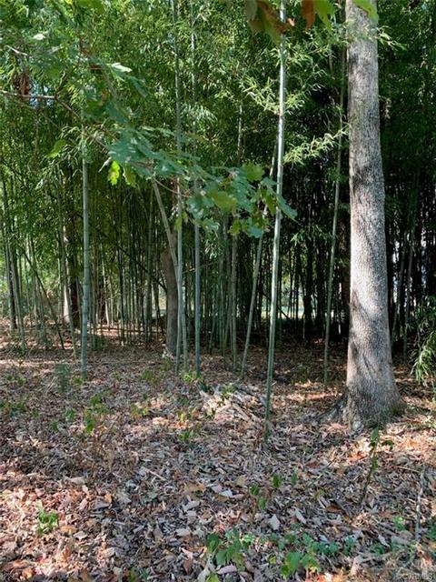 13621 Thorngate Rd, Midlothian, VA 23113 photo 13