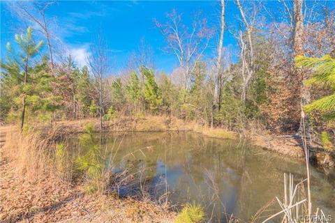 11904 Wooded Ln, Dewitt, VA 23840 photo 4