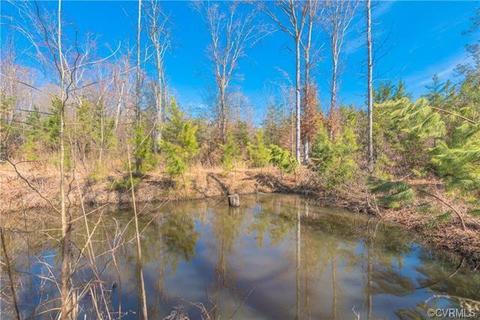 11904 Wooded Ln, Dewitt, VA 23840 photo 5