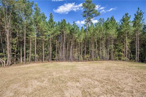 6281 Walnut Tree Dr, Powhatan, VA 23139 photo 3