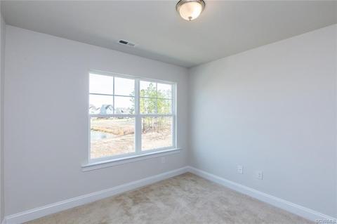 6424 Cassia Loop, Moseley, VA 23120 photo 49