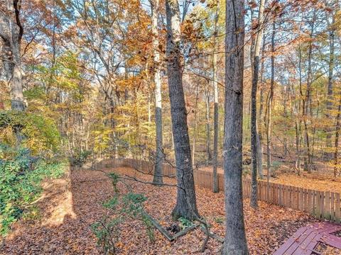 13620 Robious Rd, Midlothian, VA 23113 photo 36