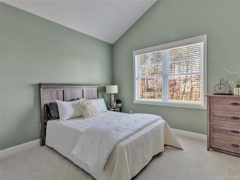 7018 Silverthread Dr, Moseley, VA 23120 photo 6